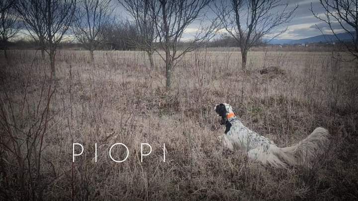 Etalon Piopi